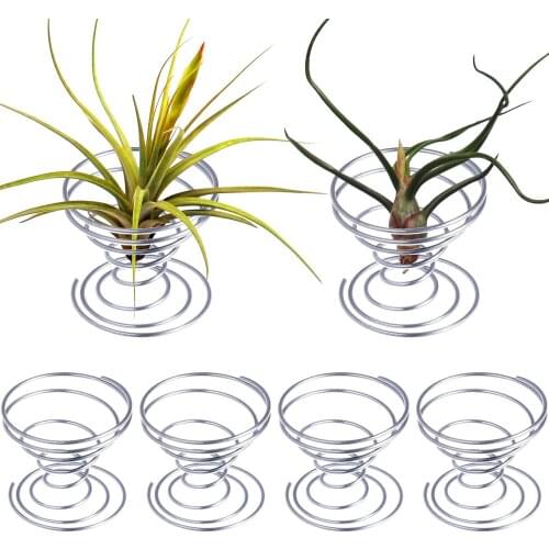 Pack of 6 Small Air Plant Holder Air Plant Stand Air plant Container Tillandsia ionantha Fuego Planter