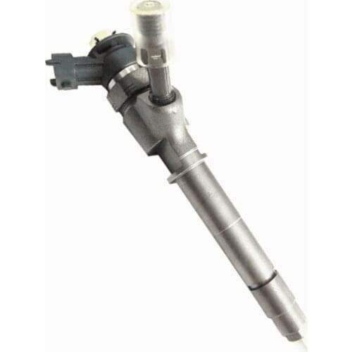 0445110250 common rail fuel injector nozzle BT50 WLAA-13-H50 0445110250