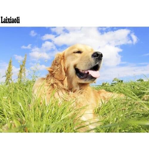 Diamond painting golden retriever Full Square 5D DIY diamond Embroidery Cross Stitch round Rhinestone diamond dog Animal picture