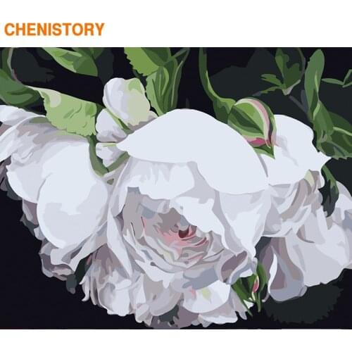 CHENISTORY Frame White Flower DIY Painting By Numbers Modern Home Decor Paint By Numbers Acrylic Canvas Painting For 60x75cm Art