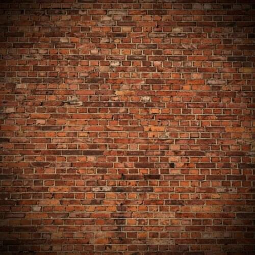Old Red Brick Weathered Rustic Wall backdrop High quality Computer print children kids photo studio background