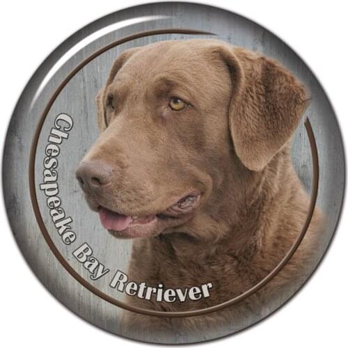 B0806# 13CM/17CM Self-Adhesive Decal Chesapeake Bay Retriever Dog Car Sticker Decors on Bumper Rear Window Laptop