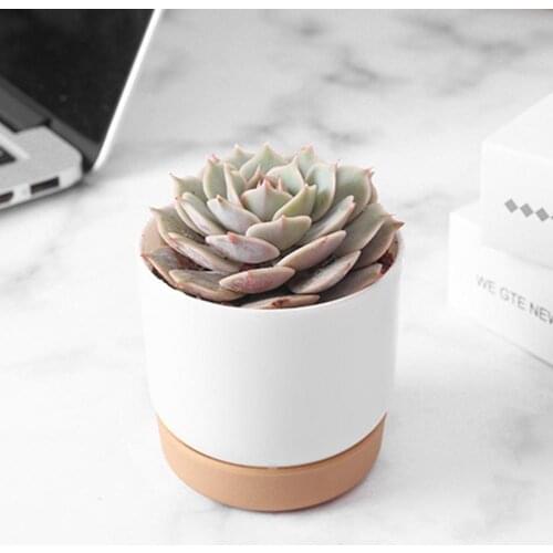 Flowerpot Small Lightweight Fashion Succulent Green Plant Pot Double-layer Flowerpot Home Flower Pots Garden Supplies