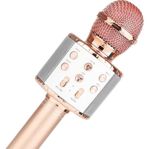 Microphone Colorful LED Good Tone Quality ABS Wireless Microphone with Built-in Loudspeaker for Karaoke