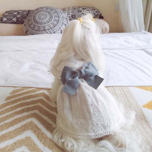 Early spring and summer pure cotton white dress pet dog cat clothes Teddy Bichon puppies princess outfit