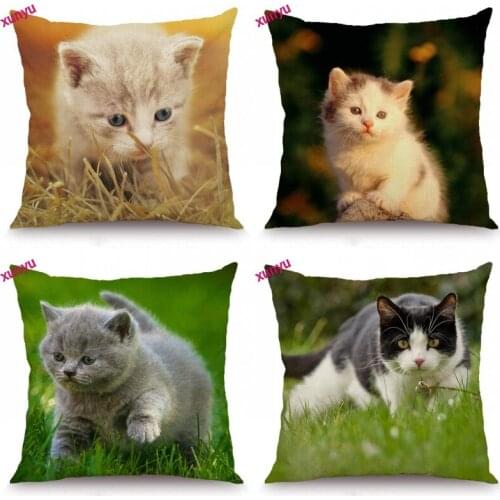 XUNYU Cat Cushion Cover Animal Pillow Case Decorative Throw Pillow Cover for Sofa 45x45cm BT022