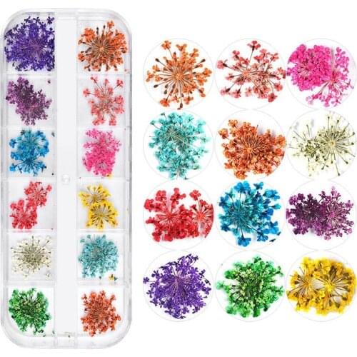 3D Mix Dried Flowers Nail Art Decoration Real Natural Floral Sticker Designs Dry Flower Decals DIY Manicure Nails Accessories