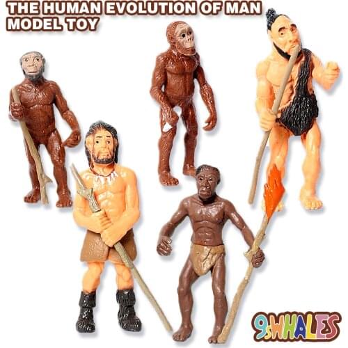 Simulation Human Evolution of Man Primitive Human Action Figures Model Fidget Toy Educational Teaching Materials Science