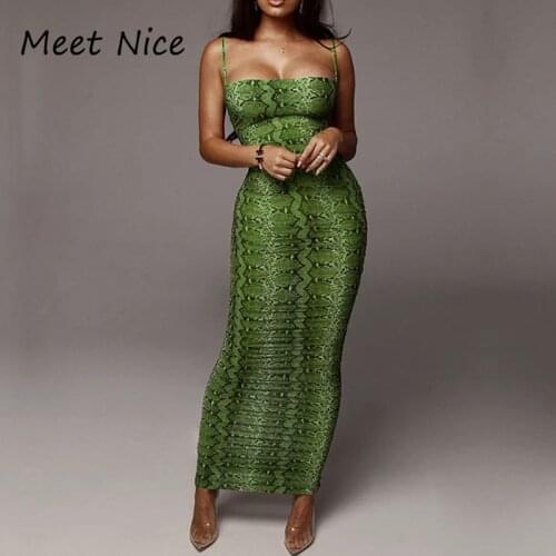Snake Leopard Dress Summer Women 2020 Printed Sheer Ruched Mesh Maxi Party Dress Sexy Slim Tight Long Bodycon Dress