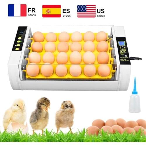 EU US Stock Eggs Incubator 24 Eggs Digita Mini Automatie Incubatores for Hatching Turkey Goose Quail Chicken Egg Hatching