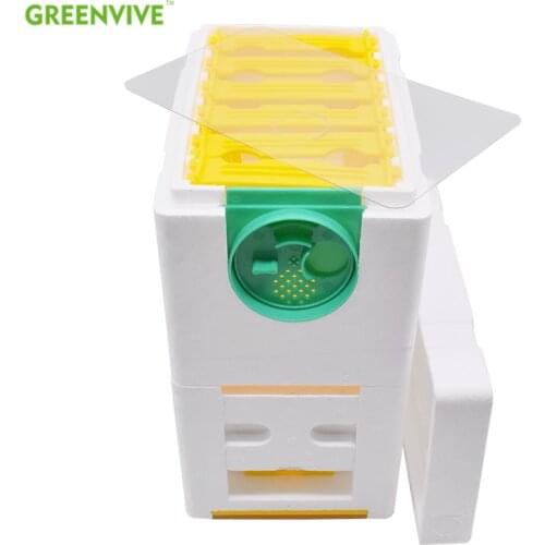 Double Beekeeping Queen Breeding Queen Rearing Mini Polystyrene Mating Nuc Hive Box for Beekeeping Beginners
