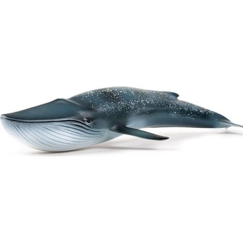 Blue Whale Animal Figure Collectible Toys Sea Animal Cognition Action Figures Kids Plastic Cement Toys