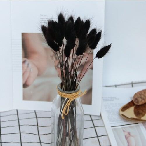 20Pcs Dried Flowers Natural Rabbit Tail Grass Bunch Plants for Home Decorations Decor 55CM Lagurus Ovatus Plantas Artificiale