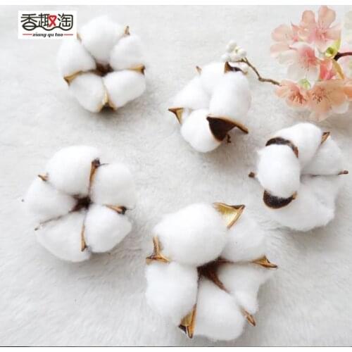 Natural Dried Flowers Plants cotton flowers Head For Home Wedding Decoration Fake Flowers Decor 6pcs