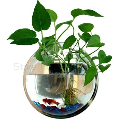 Creative wall decoration hanging glass vase hydroponic plant flower arrangement flowerpot simple wall hanging