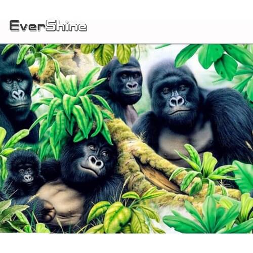 Evershine Diamond Painting Animals Orangutan Full Display Diamond Embroidery Full Set Cartoon Pictures Of Rhinestones Needlework