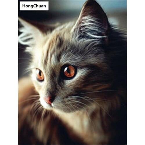 Beautiful Cat Full Square/Round 5D DIY Diamond Painting Crafts Mosaic Embroidery Home Decoration Christmas Gift New Year