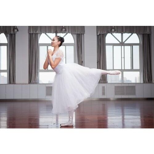 YI NA SHENG WU Ballet Skirts