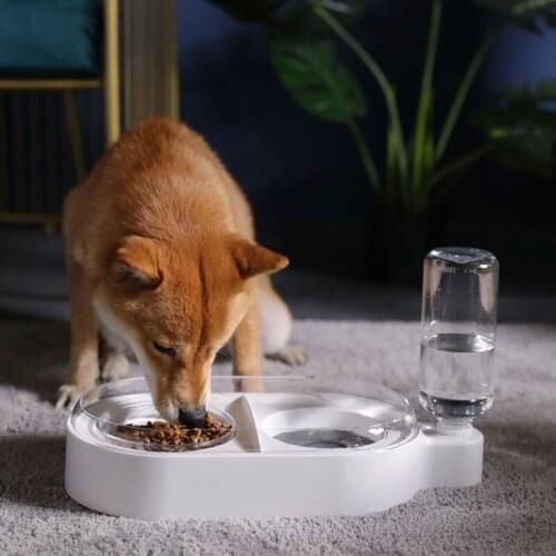 Dual Port Pet Automatic Feeder For Feeding And Drinking Clear Water Bottle Removable And Washable Plastic Pet Bowl For Cat Dog