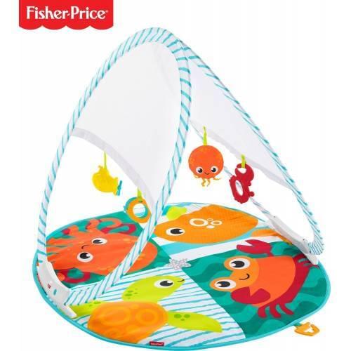 Fisher Price Colorful Friends Portable Gymnastics Center FXC15