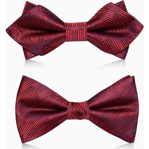2020 Brand New Fashion Mens Bow Ties Wedding Double Fabric Striped Plaid Bowtie Banquet Host Party Butterfly Tie with Gift Box
