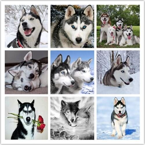 Diy Diamond Painting Cross Stitch Animal Dog Mosaic Crystals Interesting Kit Embroidery Picture Rhinestone Craft 2021 New