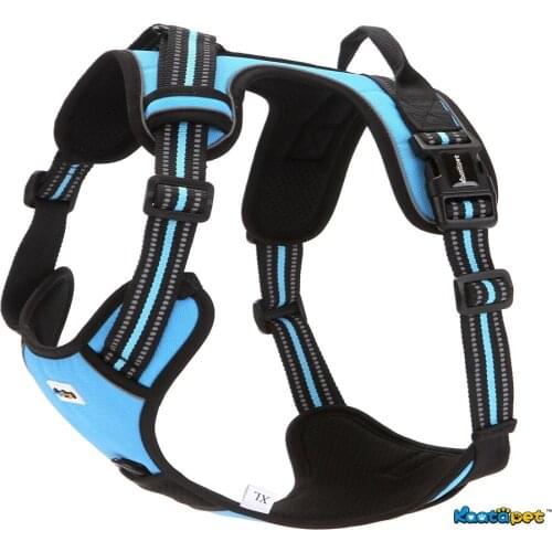 Kaatapet Pet Leashes Dogs Breathable Vest Style Adjustable Fashion Traction Leash