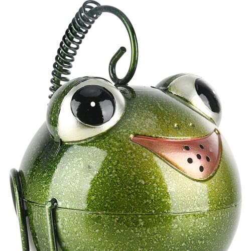 Garden Watering Can for Outdoor Indoor Plants Frog Statue Watering Kettle