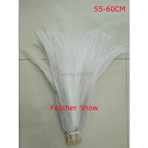50Pieces/lot-55-60cm long wholesale cheap carnival caribana dance costumes bleach white long silver pheasant tail feathers