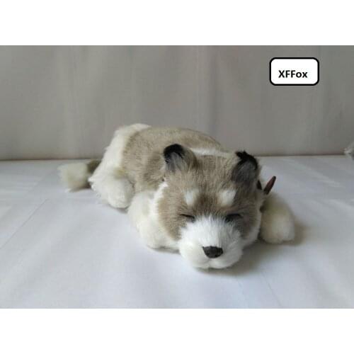 Cute real life sleeping gray dog model simulation husky dog doll gift about 25cm xf1571