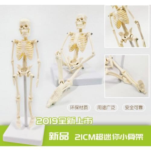 Mini Flexible Human Anatomical Anatomy Skeleton bone Model decoration medical human skeleton manikin toys