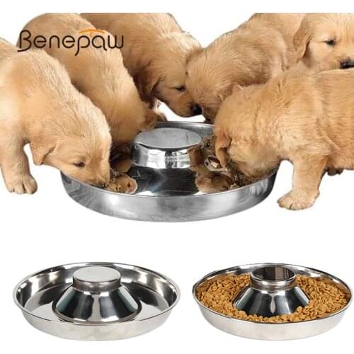 Benepaw Stainless Steel Dog Bowl Multiple Safe Puppy Feeding Durable Water Food Pet Bowl For Small Medium Large Dogs Easy Clean