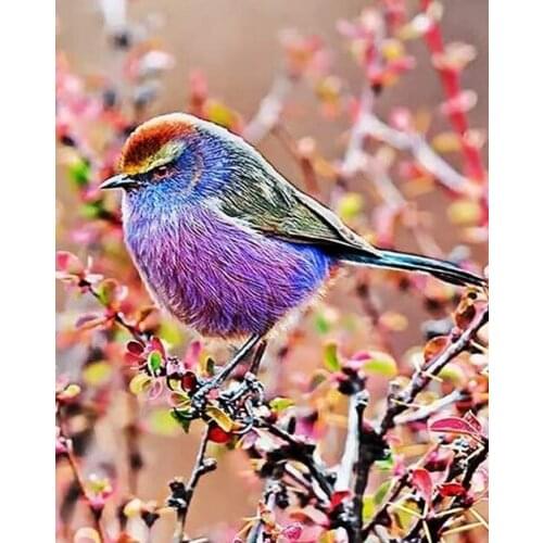 JMINE Div 5D Colorful Bird tree Full Diamond Painting cross stitch kits art High Quality Animal 3D paint by diamonds