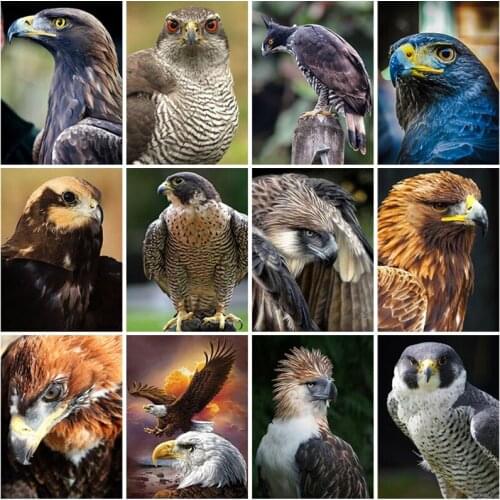 5D DIY Diamond Painting Eagle Craft Kit Full Square Drill Diamond Embroidery Animal Pictures of Rhinestones Gift Home Decor