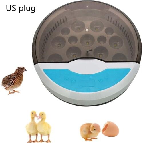 9 Eggs Semi-Automatic Egg Incubator Breeding Household 110V/220V Mini Duck Goose Incubation Built-in Light Bird Incubators