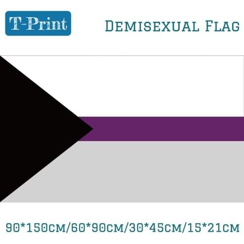 15PCS Flag Proposed Separate Demisexual Flag 40*60cm For Car Flag 90*150cm/60*90cm/15*21cm For Party Event Office