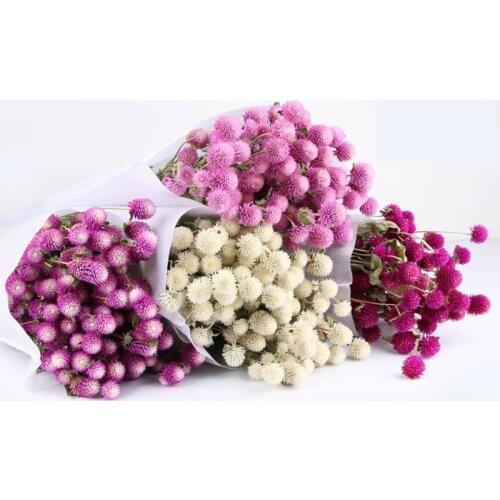 Preserved Fresh Dried Red Flower Branch For Wedding Home Party Holiday Decorate DIY Bouquet Project Accessory SAD69