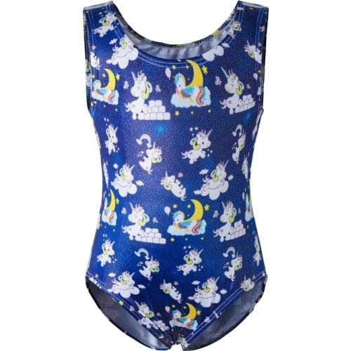 DANSHOW Girls Ballet Leotards Gymnastics Dress Athletic Dancer Dress Ballet Gym Leotards Acrobatics for Kids Dance Wear