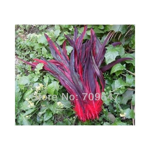 Red Feather! 50PCS/LOT Half Bronze Rooster Tail Coque Feathers Dyed Red Colour 12-14",Plume Decoration,Feathers for Hats