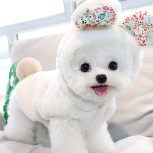 Autumn and winter pet clothes Teddy plush coat VIP Bichon Hiromi cat puppies small dogs dog clothes