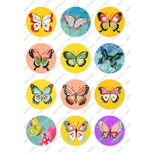 24pcs/lot Beauty Colorful butterfly 10mm/12mm/14mm/16mm/18mm/25mm Round photo glass cabochon demo flat back Making findings T087