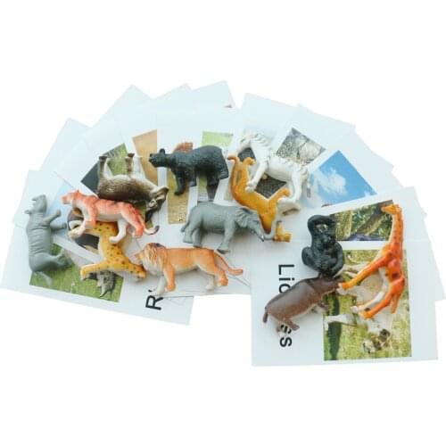 Montessori Infant Toys Montessori Animal Cards Language Materials Preschool Educational Learning Toys For Children YI3044H