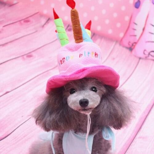 Cat Dog Birthday Party Hat Cap for Small Medium Dogs Cute Puppy Chihuahua French Bulldog Yorkshire Accessories Mascotas Products