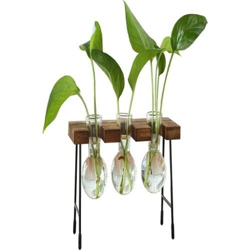 Versatile and practical transparent glass vase simple style tabletop decoration flower pot arrangement