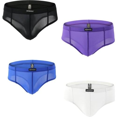 4pcs Mens Summer Underwear Set Sexy Transparent Briefs Pack Low Rise Panties Spandex Thong Ultra-thin Breathable Micro Bikinis