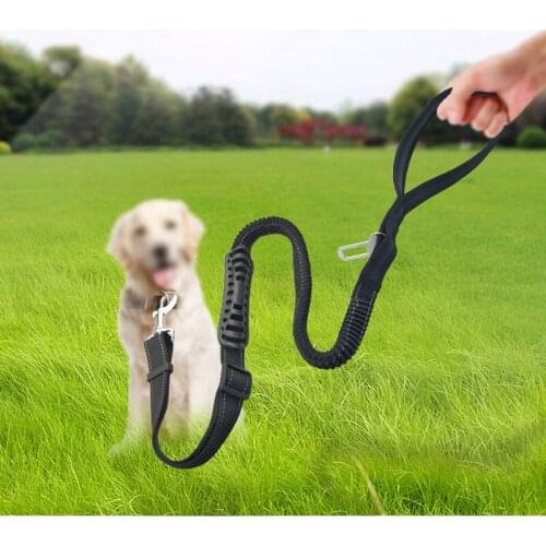 Elastic Dog Leashes with Seat Belt Buckle Dog Walking Running Extension Cord Rope Pet Safety Belt for Small Medium Animals