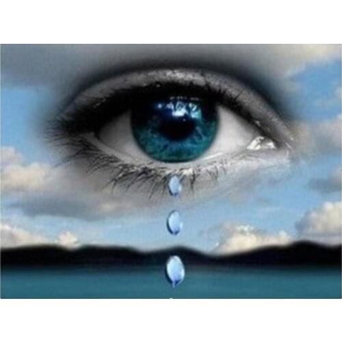 Eye Tears Diamond Painting Full Display Diamond Dot Mosaic Embroidery Picture Crystal Rhinestone Sticker Decal Wall Art Craft