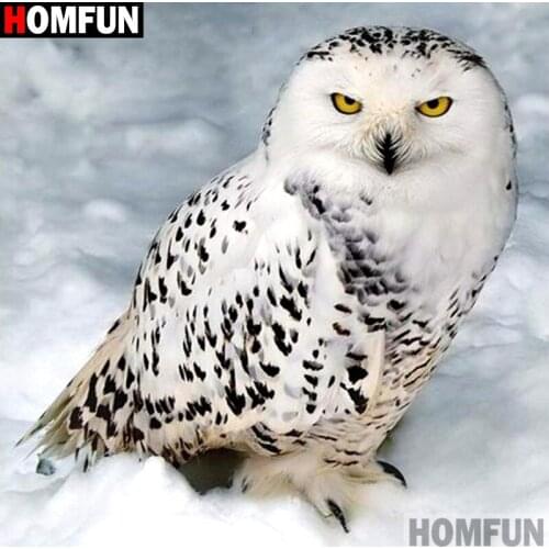 HOMFUN Full Square/Round 5D DIY Diamond Embroidery "Snow owl" Diamond Painting Cross Stitch Rhinestone 5D A00829