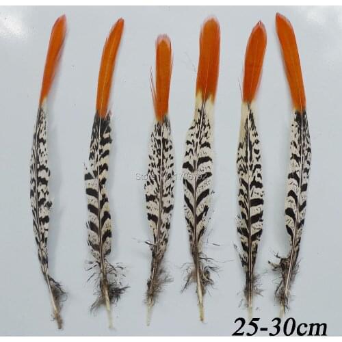 Wholesale Lady Amherst 20Pcs 25-30cm Natural Copper Chicken Feather Pheasant Tail Plume For DIY Crafts Show Party Hat Decoration