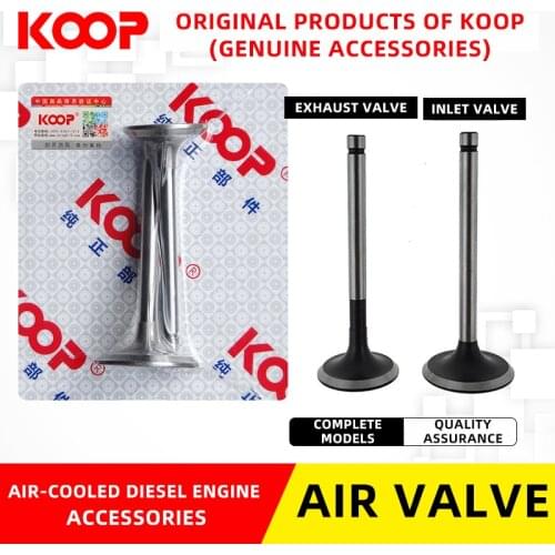 Koop Powered Air-cooled diesel engine intake/exhaust valve Push rod Tappet 170/3/8/6F/192F Micro-tillage generator accessories
